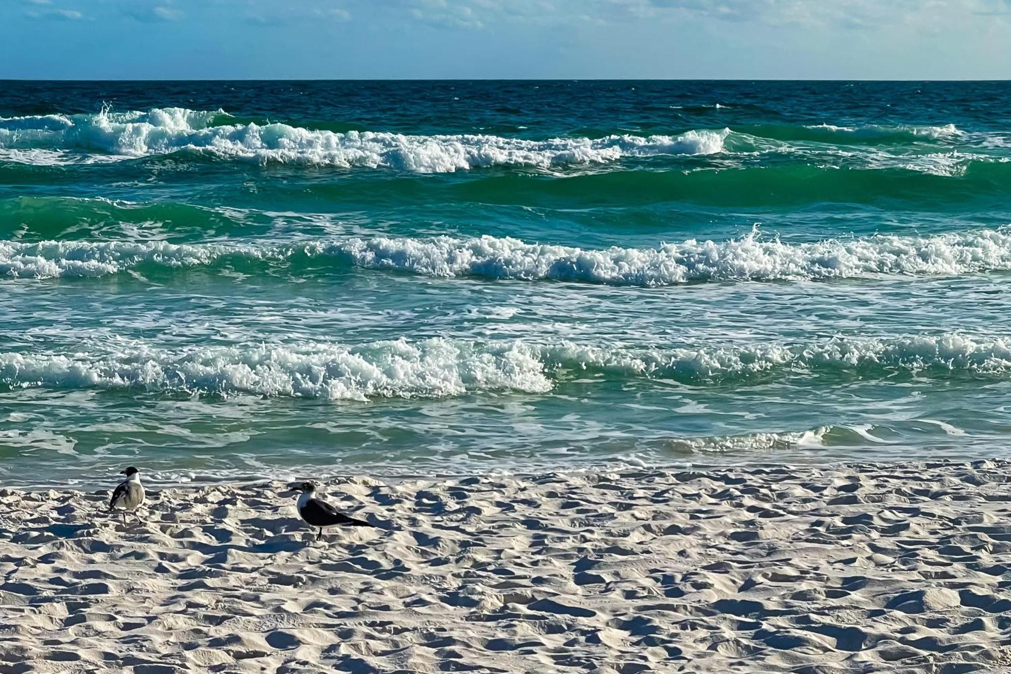 Sand Dollar E200 Pensacola Beach Dış mekan fotoğraf